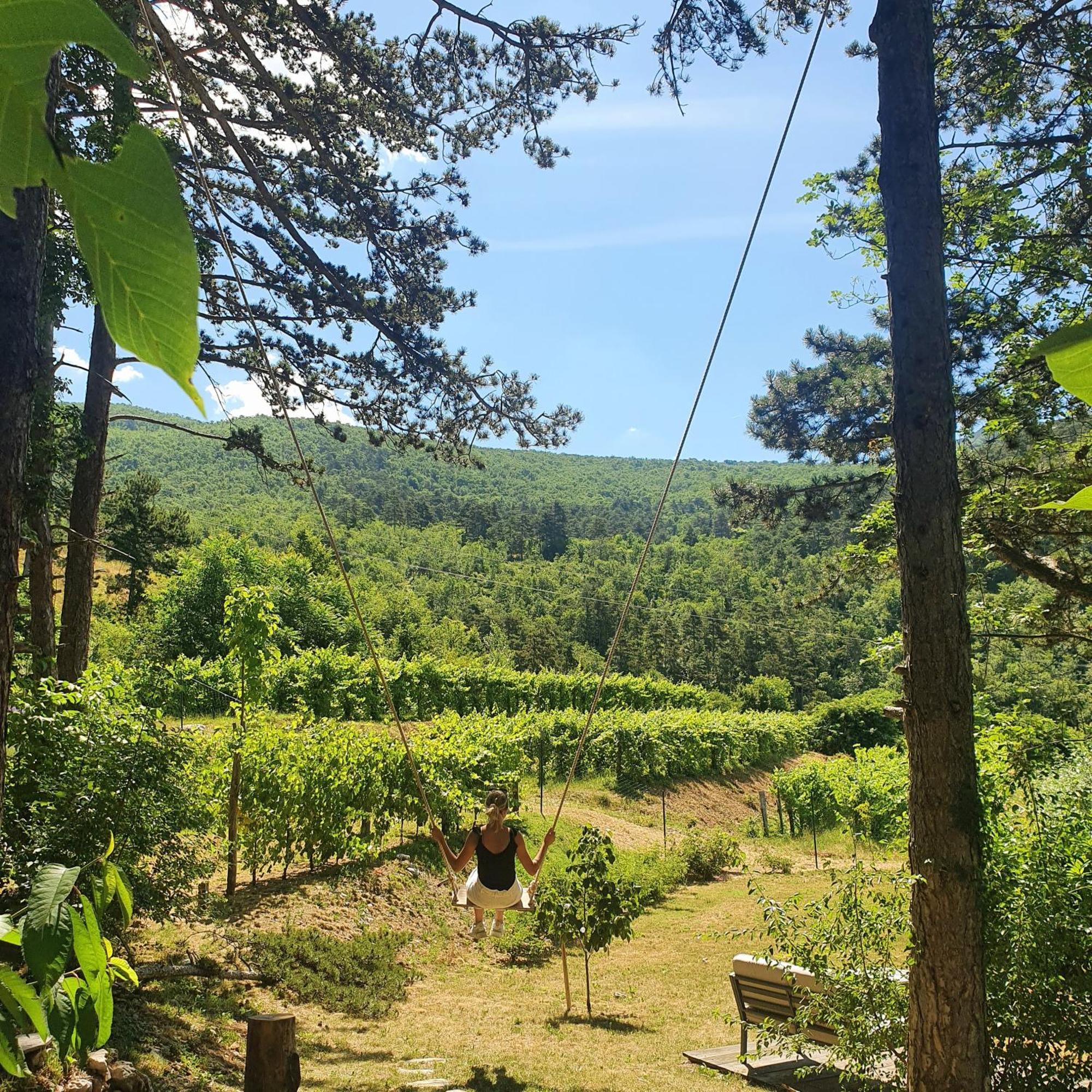 Theodosius Forest Village - Glamping In Vipava Valley Exteriér fotografie