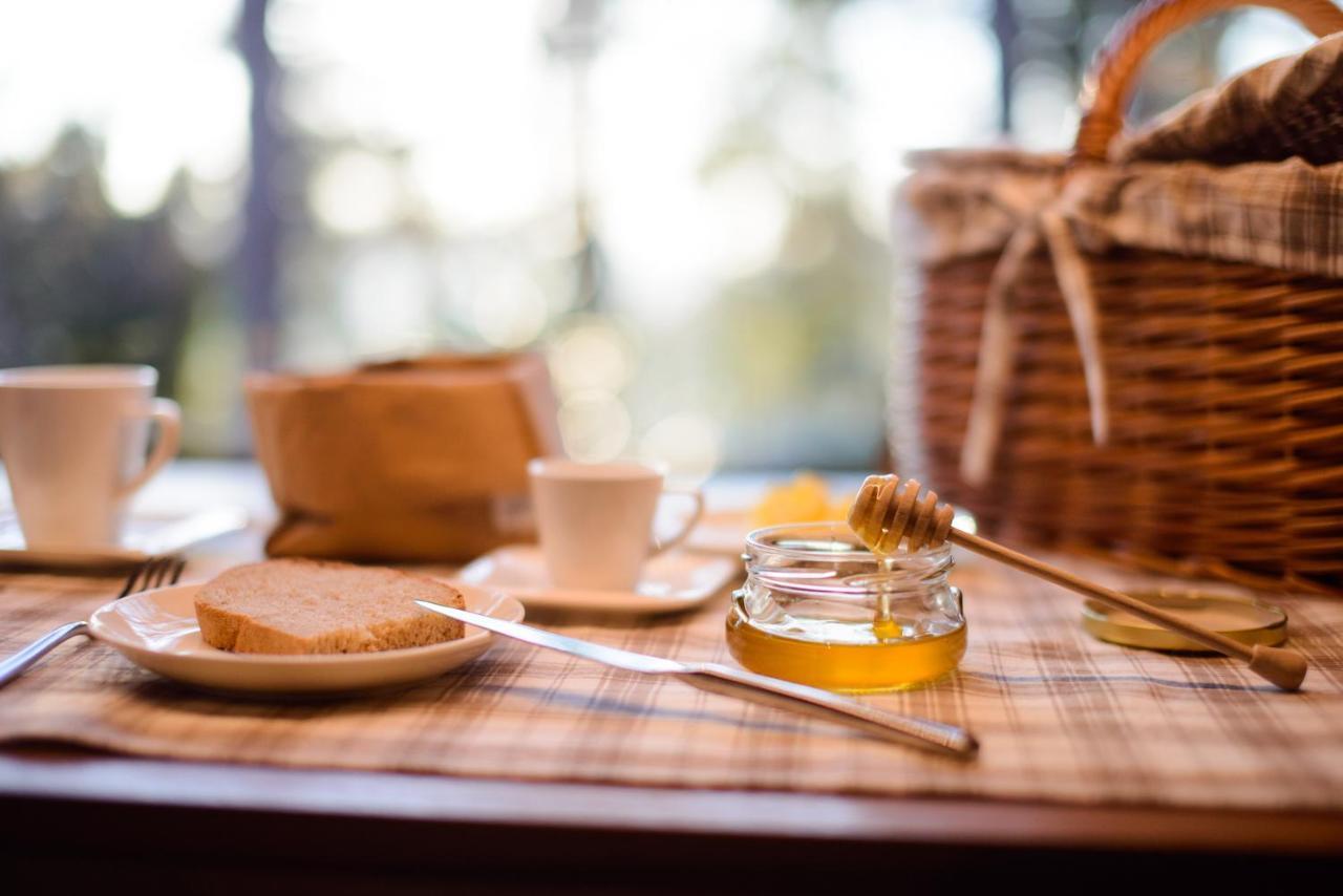 Theodosius Forest Village - Glamping In Vipava Valley Exteriér fotografie